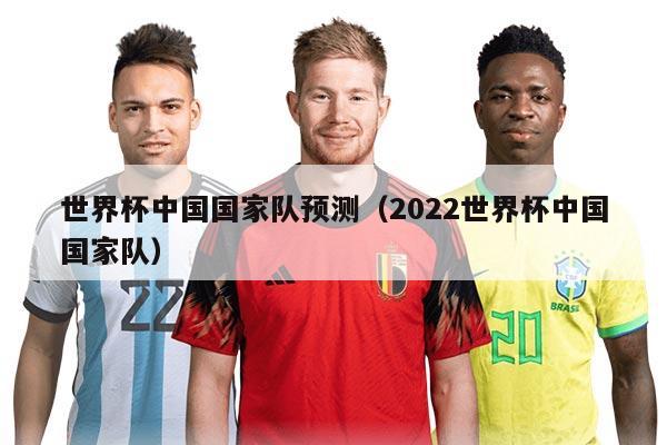 世界杯中國國家隊預(yù)測（2022世界杯中國國家隊）