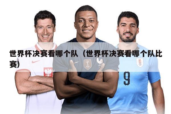 世界杯決賽看哪個隊（世界杯決賽看哪個隊比賽）