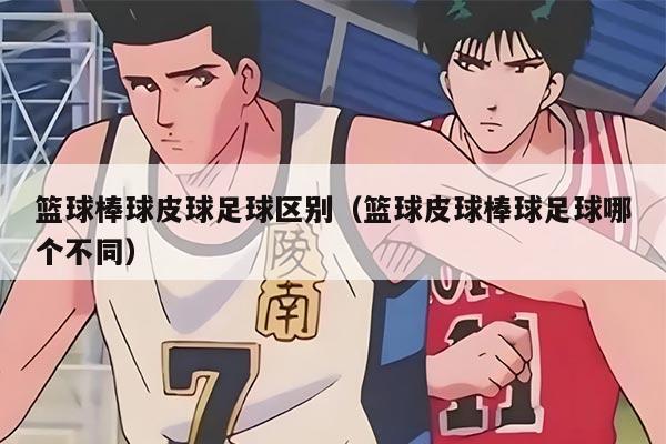 籃球棒球皮球足球區(qū)別（籃球皮球棒球足球哪個不同）