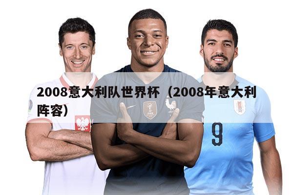 2008意大利隊(duì)世界杯（2008年意大利陣容）