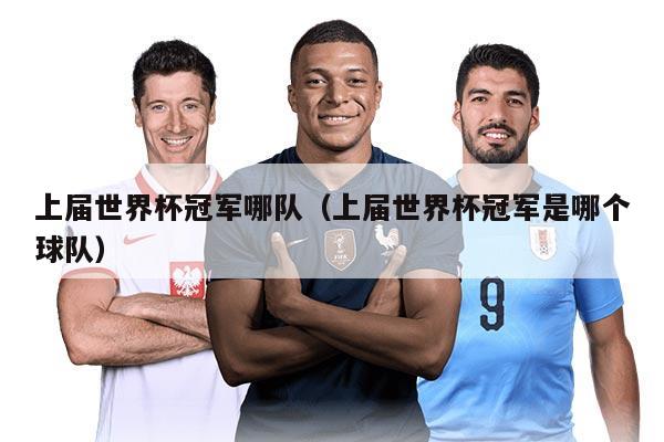 上屆世界杯冠軍哪隊（上屆世界杯冠軍是哪個球隊）