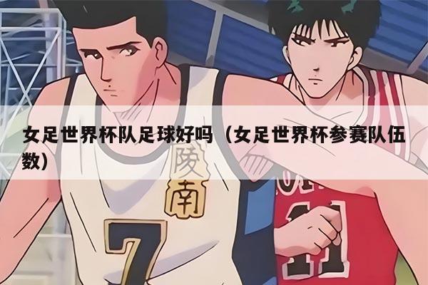 女足世界杯隊足球好嗎（女足世界杯參賽隊伍數(shù)）