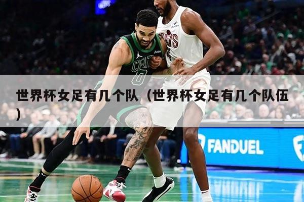 世界杯女足有幾個隊（世界杯女足有幾個隊伍）