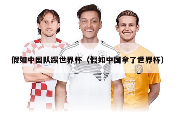 假如中國(guó)隊(duì)踢世界杯（假如中國(guó)拿了世界杯）