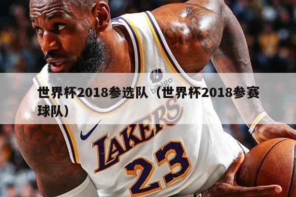 世界杯2018參選隊(duì)（世界杯2018參賽球隊(duì)）