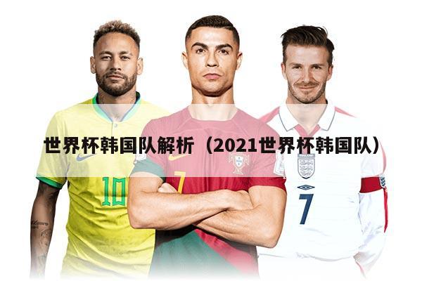 世界杯韓國隊解析（2021世界杯韓國隊）
