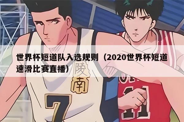 世界杯短道隊入選規(guī)則（2020世界杯短道速滑比賽直播）
