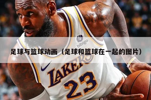 足球與籃球動(dòng)畫(huà)（足球和籃球在一起的圖片）