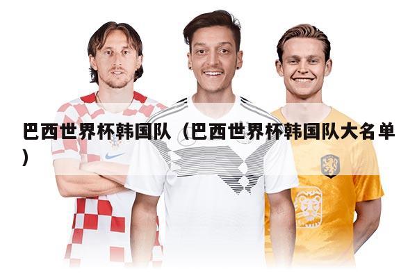 巴西世界杯韓國(guó)隊(duì)（巴西世界杯韓國(guó)隊(duì)大名單）