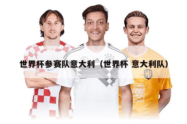 世界杯參賽隊(duì)意大利（世界杯 意大利隊(duì)）