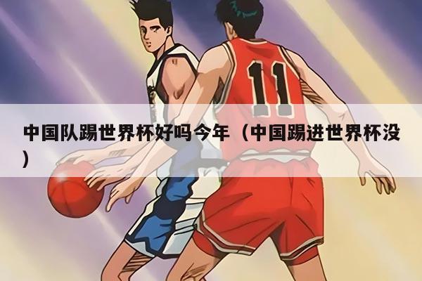 中國隊(duì)踢世界杯好嗎今年（中國踢進(jìn)世界杯沒）