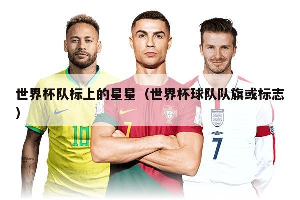 世界杯隊標上的星星（世界杯球隊隊旗或標志）