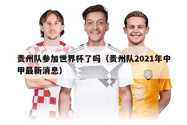貴州隊(duì)參加世界杯了嗎（貴州隊(duì)2021年中甲最新消息）