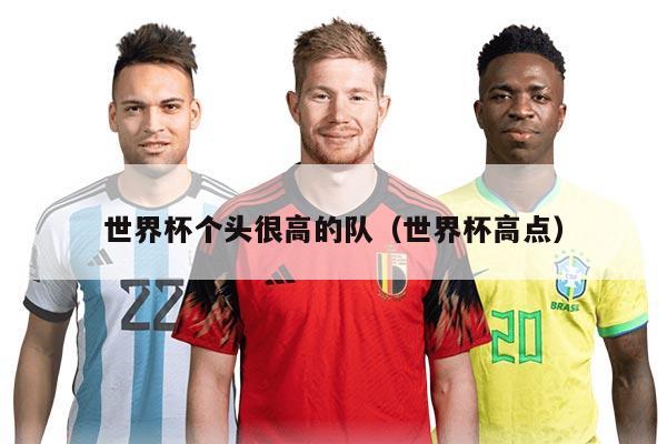 世界杯個頭很高的隊（世界杯高點）