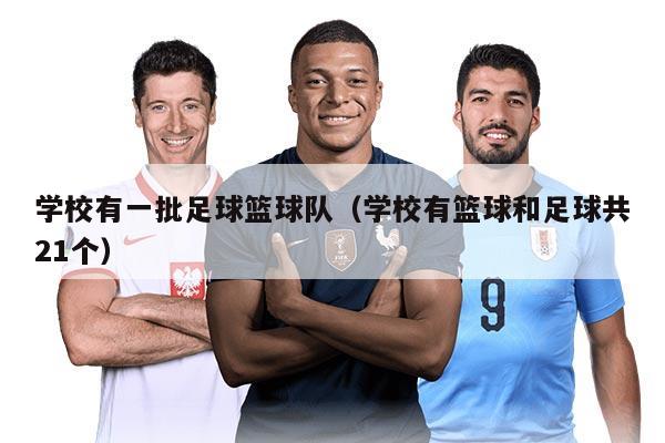 學(xué)校有一批足球籃球隊(duì)（學(xué)校有籃球和足球共21個(gè)）