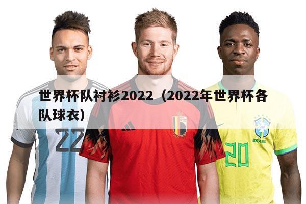 世界杯隊襯衫2022（2022年世界杯各隊球衣）