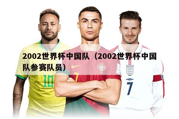 2002世界杯中國(guó)隊(duì)（2002世界杯中國(guó)隊(duì)參賽隊(duì)員）