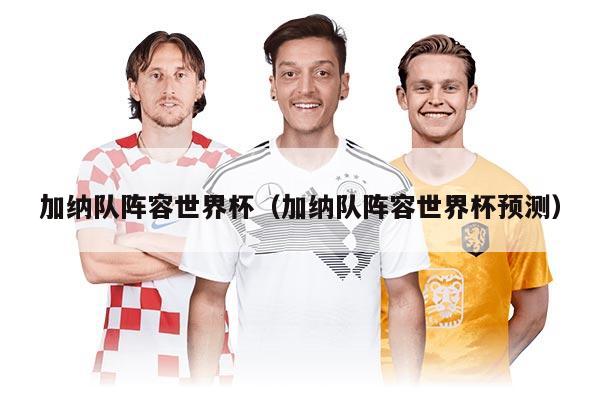 加納隊陣容世界杯（加納隊陣容世界杯預測）