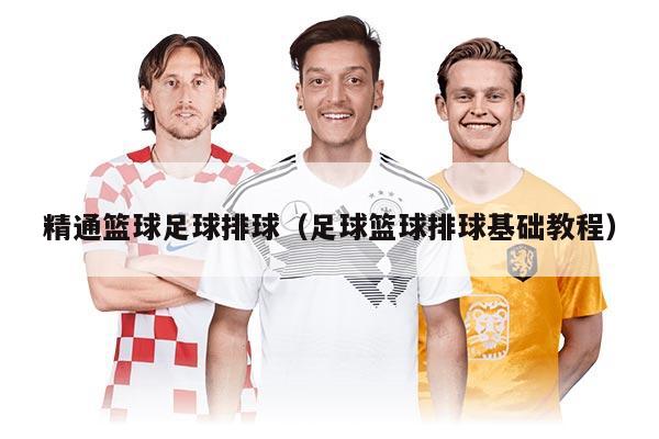 精通籃球足球排球（足球籃球排球基礎(chǔ)教程）