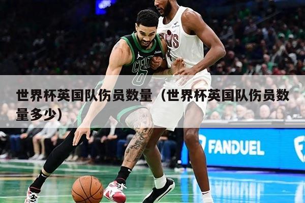 世界杯英國(guó)隊(duì)傷員數(shù)量（世界杯英國(guó)隊(duì)傷員數(shù)量多少）