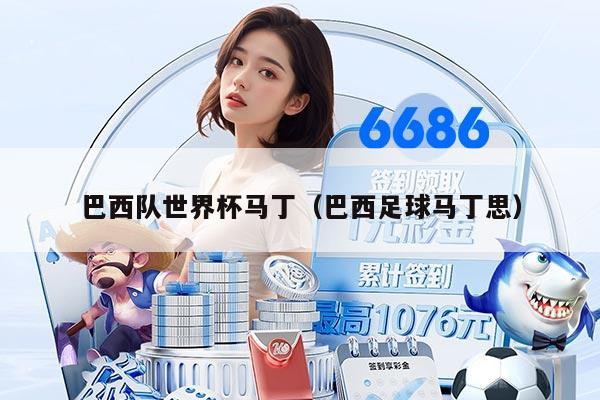 巴西隊(duì)世界杯馬?。ò臀髯闱蝰R丁思）