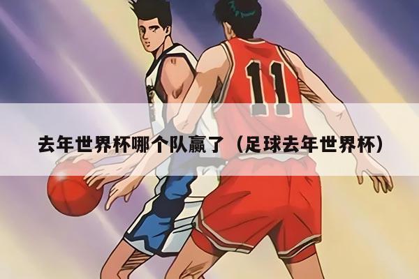 去年世界杯哪個(gè)隊(duì)贏了（足球去年世界杯）