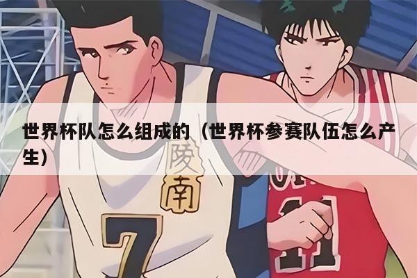 世界杯隊怎么組成的（世界杯參賽隊伍怎么產生）