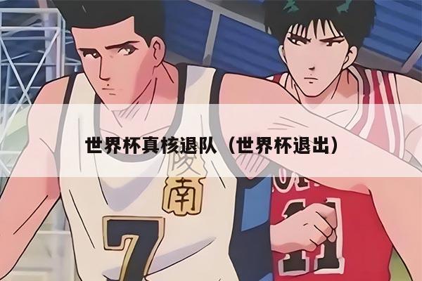 世界杯真核退隊（世界杯退出）