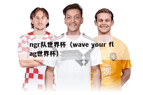 ngr隊(duì)世界杯（wave your flag世界杯）