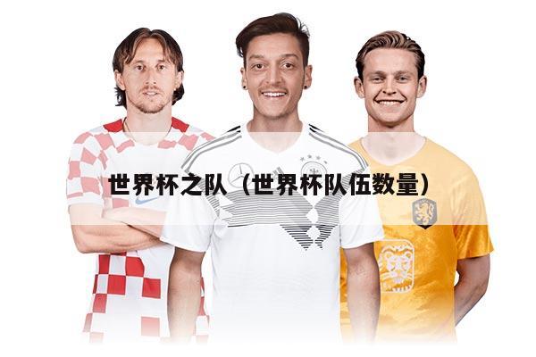 世界杯之隊(duì)（世界杯隊(duì)伍數(shù)量）