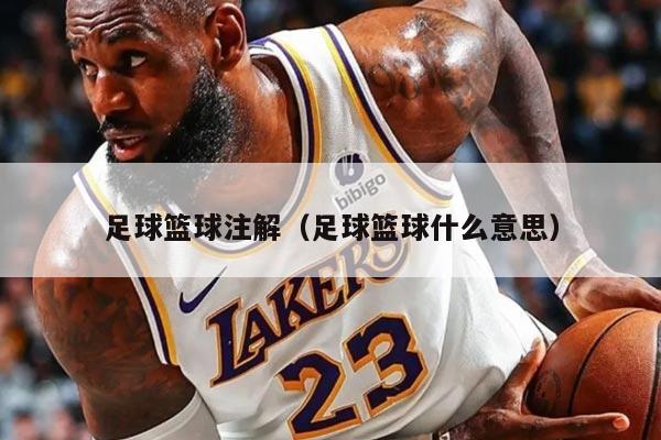 足球籃球注解（足球籃球什么意思）