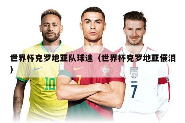 世界杯克羅地亞隊(duì)球迷（世界杯克羅地亞催淚）