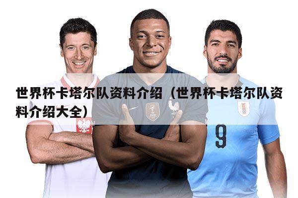 世界杯卡塔爾隊(duì)資料介紹（世界杯卡塔爾隊(duì)資料介紹大全）