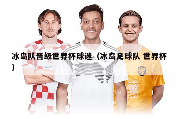 冰島隊(duì)晉級世界杯球迷（冰島足球隊(duì) 世界杯）