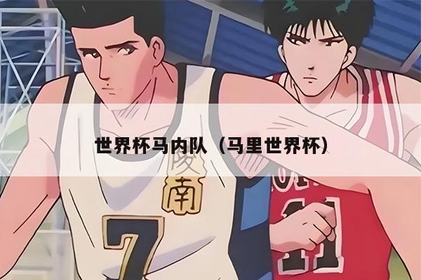 世界杯馬內(nèi)隊（馬里世界杯）