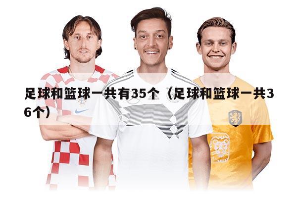 足球和籃球一共有35個(gè)（足球和籃球一共36個(gè)）