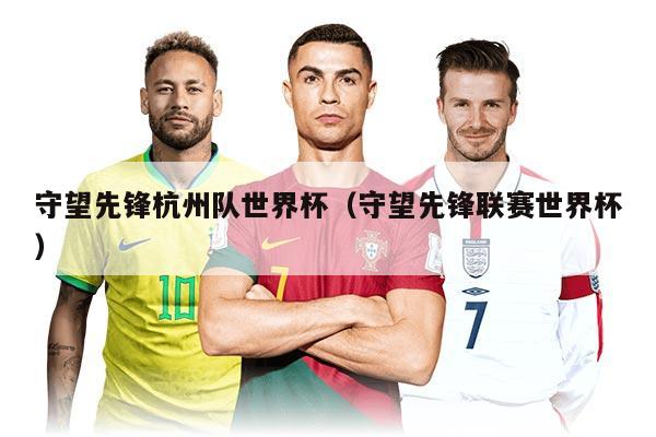 守望先鋒杭州隊(duì)世界杯（守望先鋒聯(lián)賽世界杯）