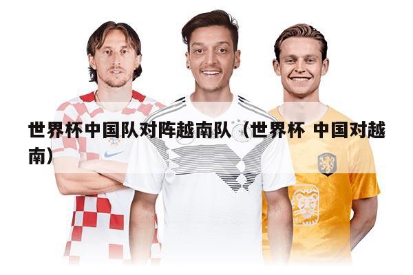 世界杯中國(guó)隊(duì)對(duì)陣越南隊(duì)（世界杯 中國(guó)對(duì)越南）