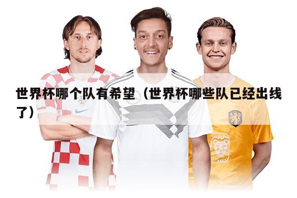 世界杯哪個(gè)隊(duì)有希望（世界杯哪些隊(duì)已經(jīng)出線了）