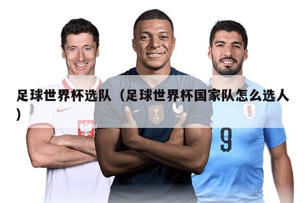 足球世界杯選隊(duì)（足球世界杯國家隊(duì)怎么選人）
