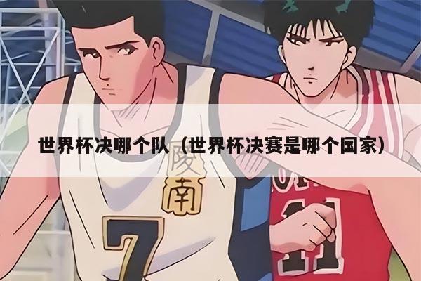 世界杯決哪個隊（世界杯決賽是哪個國家）
