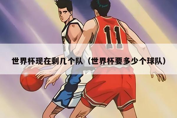 世界杯現(xiàn)在剩幾個隊（世界杯要多少個球隊）