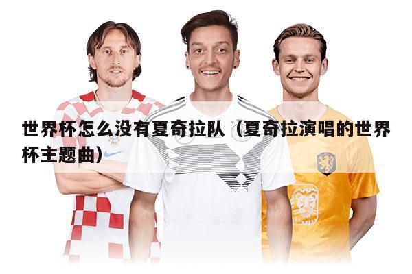 世界杯怎么沒有夏奇拉隊（夏奇拉演唱的世界杯主題曲）
