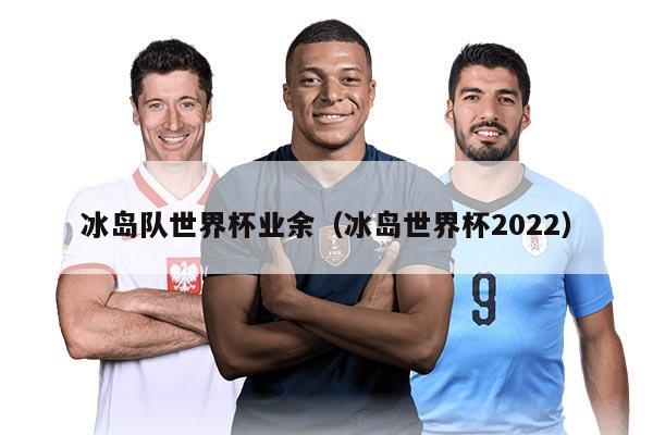 冰島隊世界杯業(yè)余（冰島世界杯2022）