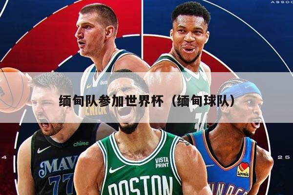 緬甸隊參加世界杯（緬甸球隊）