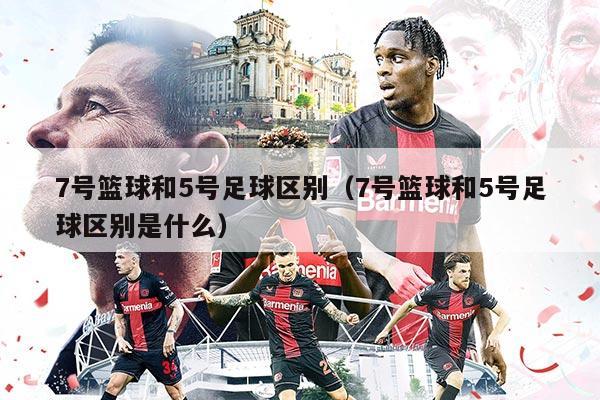 7號籃球和5號足球區(qū)別（7號籃球和5號足球區(qū)別是什么）