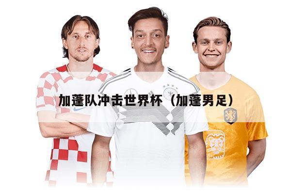 加蓬隊(duì)沖擊世界杯（加蓬男足）