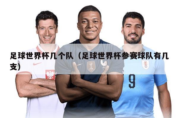 足球世界杯幾個(gè)隊(duì)（足球世界杯參賽球隊(duì)有幾支）