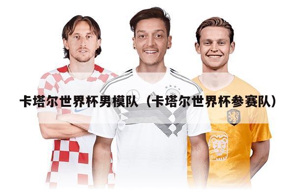 卡塔爾世界杯男模隊（卡塔爾世界杯參賽隊）