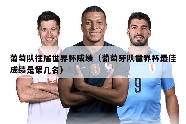 葡萄隊往屆世界杯成績（葡萄牙隊世界杯最佳成績是第幾名）